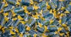JOLLY RANCHERS Blue Raspberry 8 LBS * 128oz * 8 POUNDS HARD CANDY Blue Rasp ONLY gallery