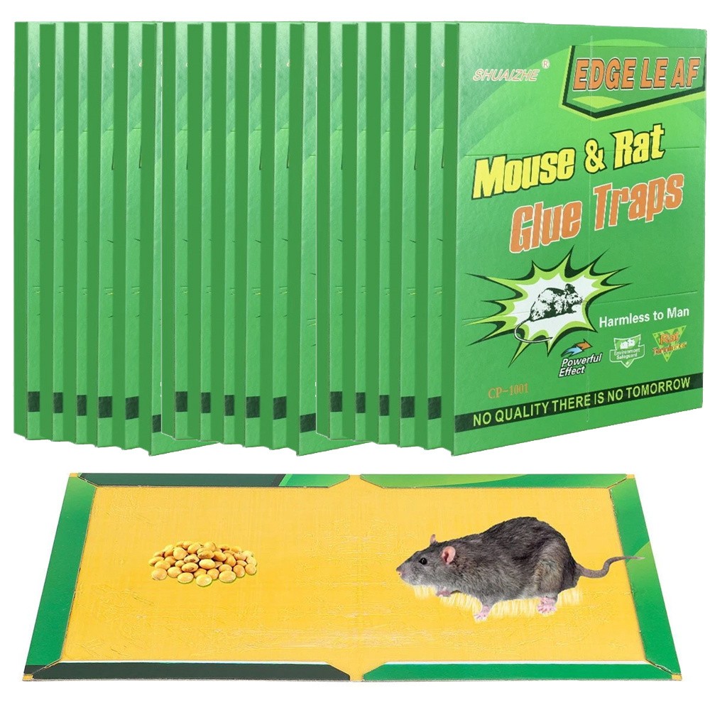 6/12/18 Large Mice Mouse Glue Traps Rodent Catcher Rat Board Indoor Super Sticky gallery
