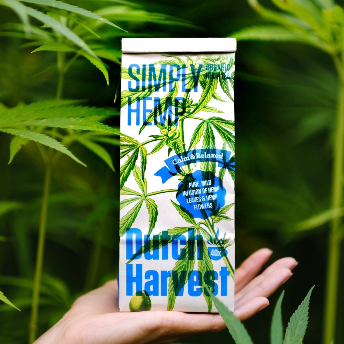 (5 pack) Dutch Harvest - Simply Hemp - Pure hemp tea - Organic  gallery