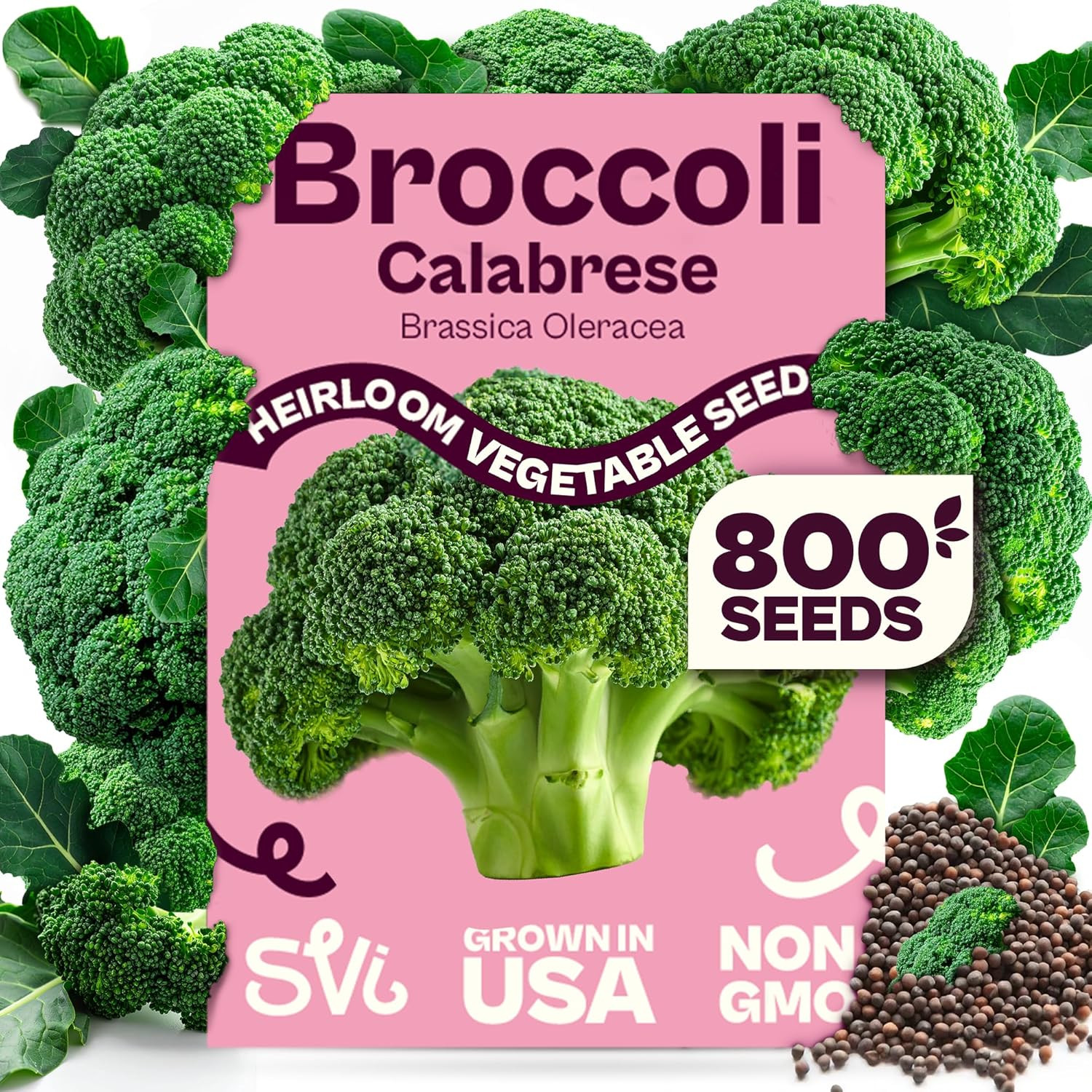 800 Calabrese Broccoli Seeds for Sprouting (Brassica Oleracea VAR. Capitata) - G gallery