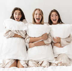 Holiday Inn Regular Shape Soft Down Alternative Pillow-Customer Return Clearance