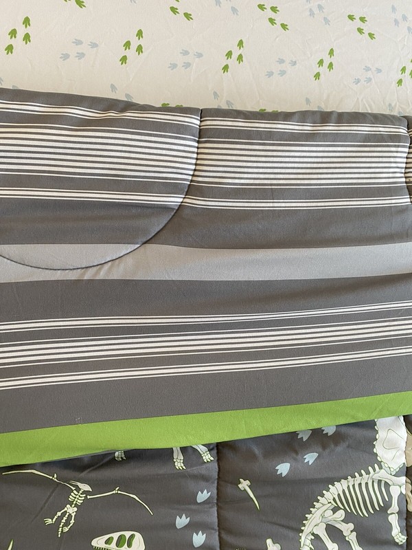 Dinosaur Reversible 9 Piece Full Size Bedding Set with Shams gallery