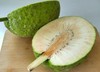 Puerto Rican Panapen Breadfruit Seeds [25pcs] gallery