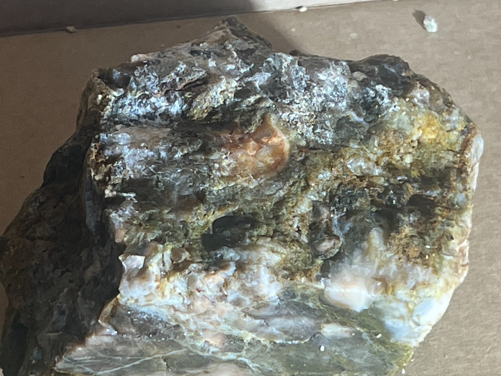 multicolored agatized petrified wood 2lb 9oz raw display decor gallery