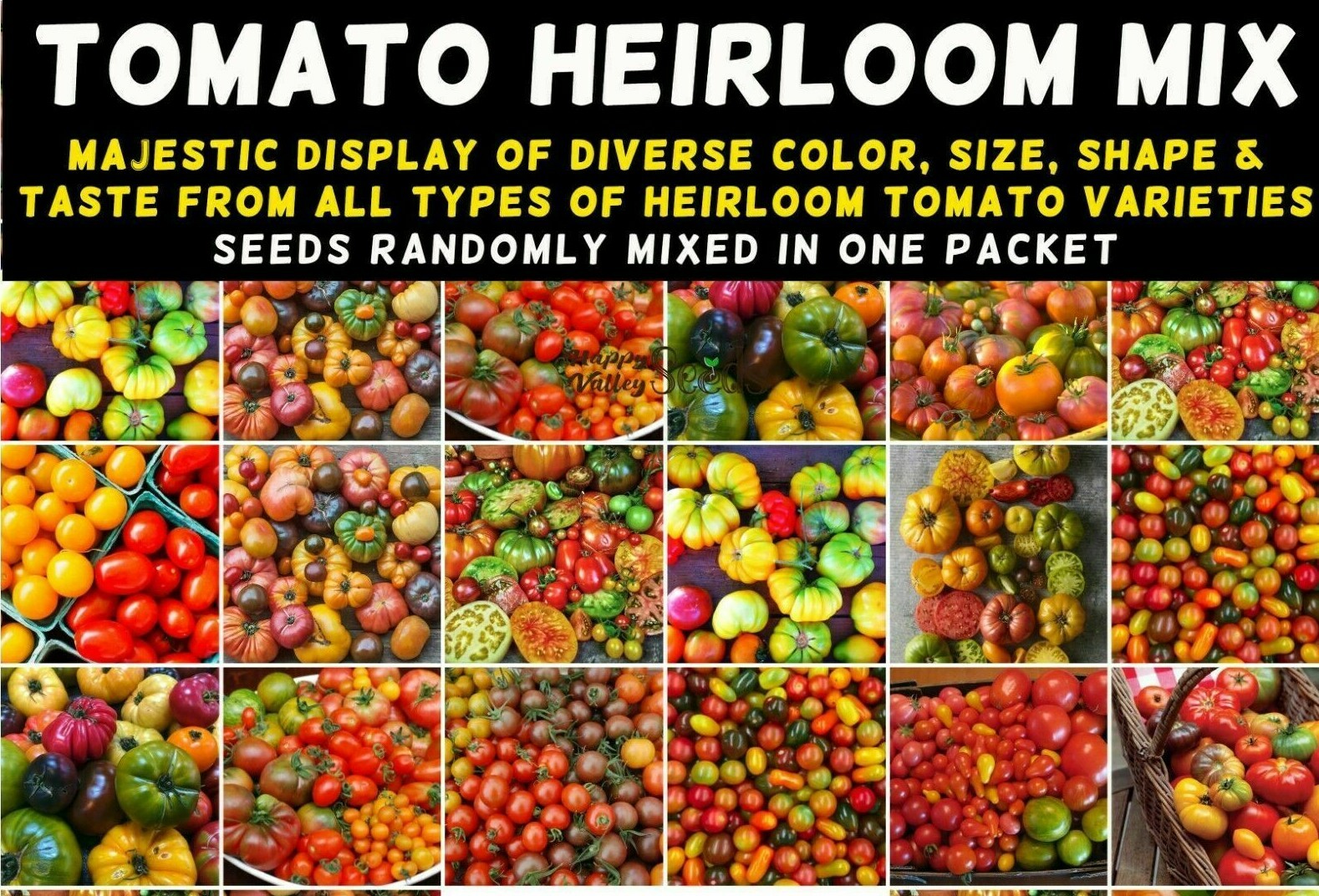 TOMATO Heirloom Mix 40 Seeds ALL TYPES NON-GMO spring summer garden RARE TASTEE! gallery