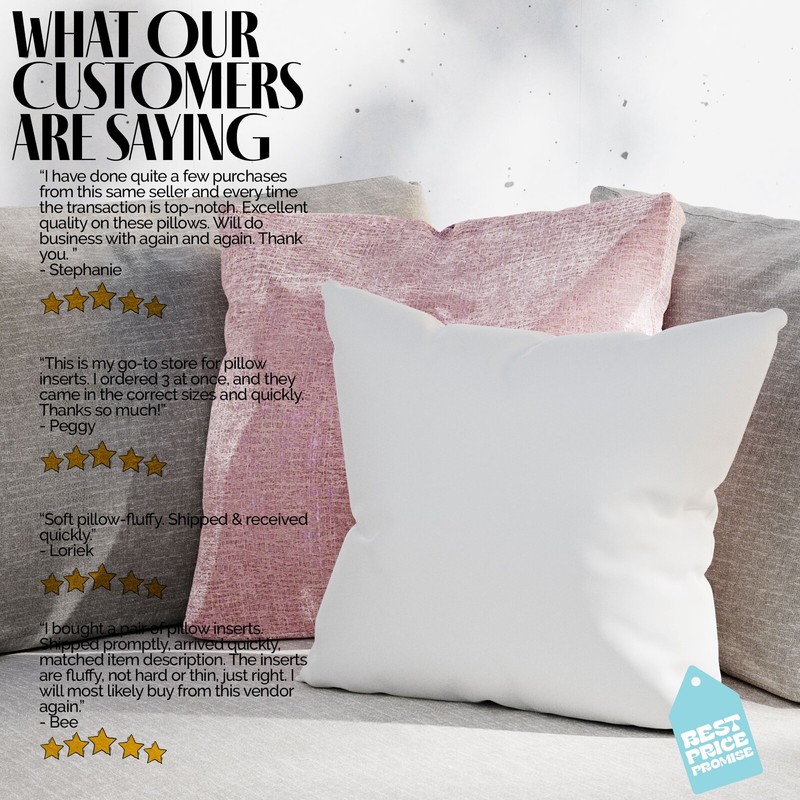 Throw Pillow Insert Form Inserts Euro Square Pillows Hypoallergenic (Set of 10) gallery