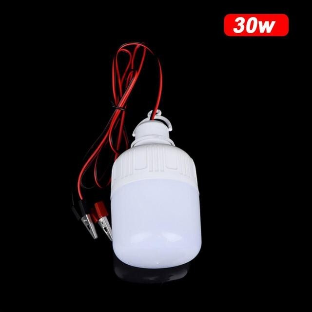 1x LED Bulb DC 12V LED Light Lamp 5W 10W 20W 30W 40W Lamp With Alligator Clip gallery