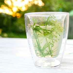 Palm Beach Herbs Cleavers Tea - Cleavers Herb for Lymphatic, Urinary and gallery