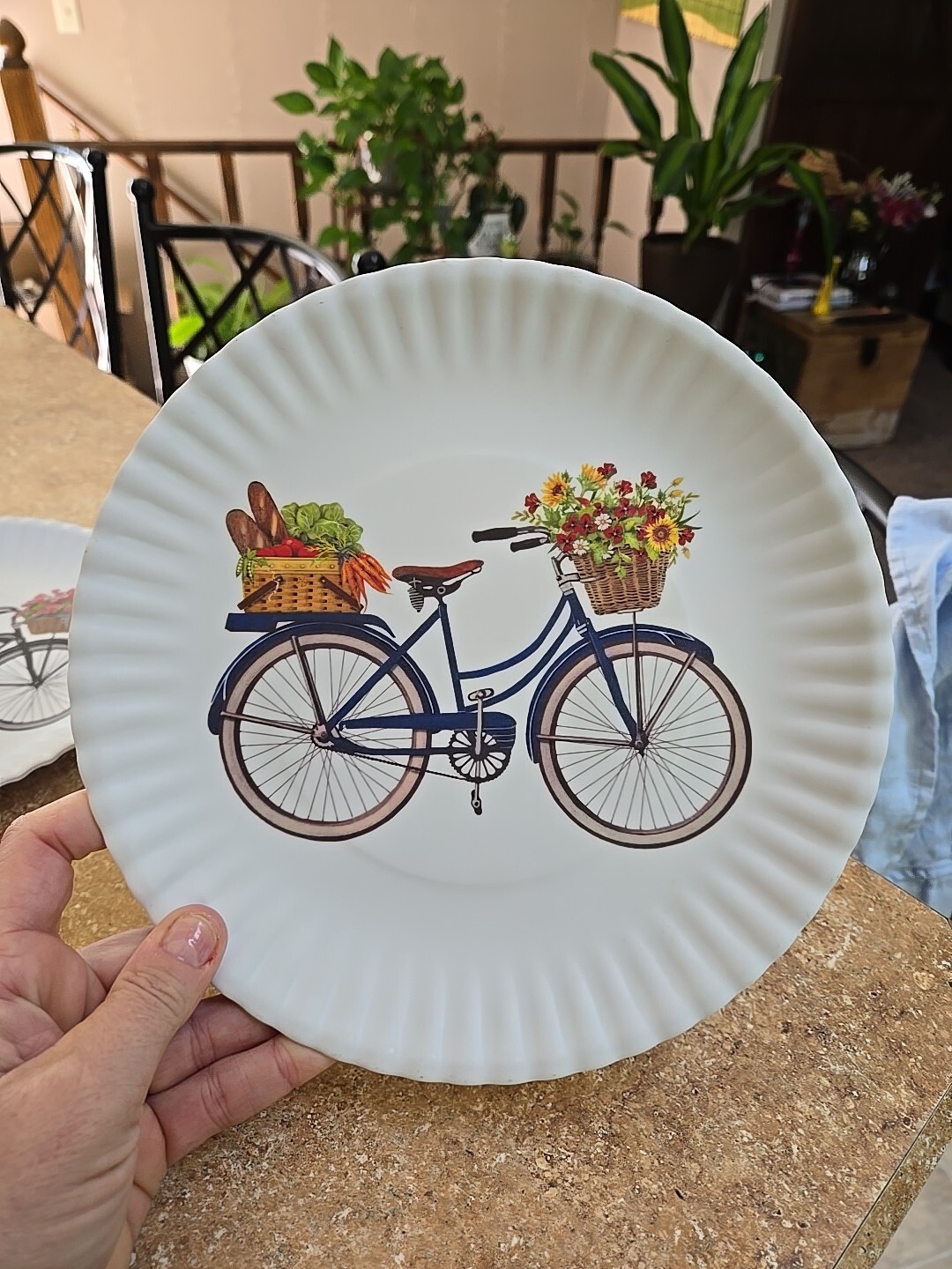 One Hundred 80 Degrees Bicycle Melamine Paper Plate Look 9" set of 2 gallery