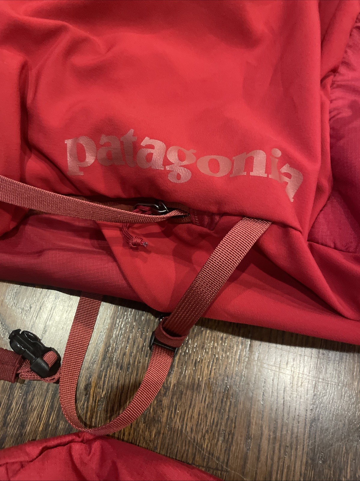 Patagonia Red Backpack 2