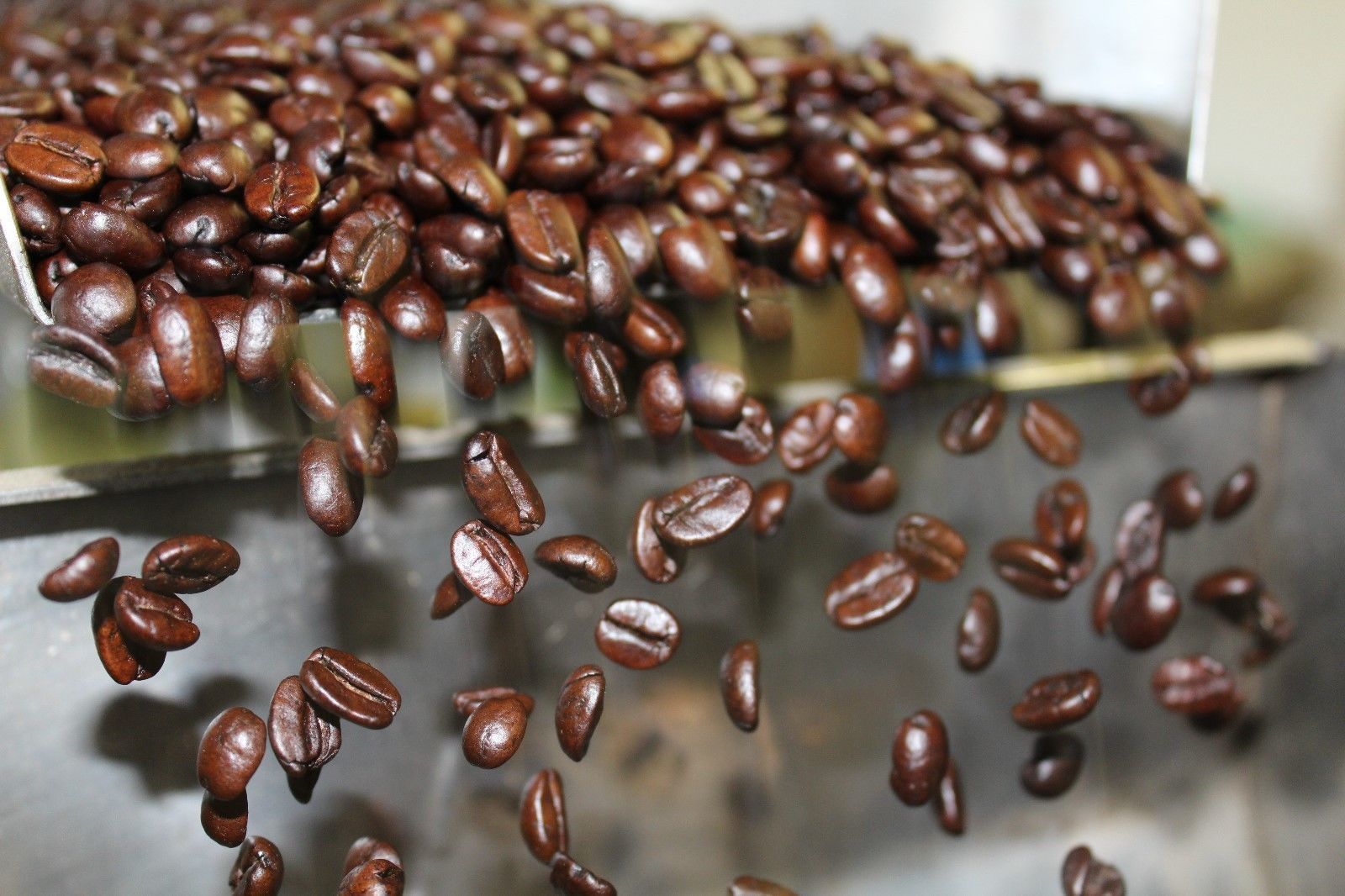 WORLD TOUR FRESH ROASTED COFFEE SAMPLER MEDIUM ROASTED 6 BAGS 1 POUND EACH gallery