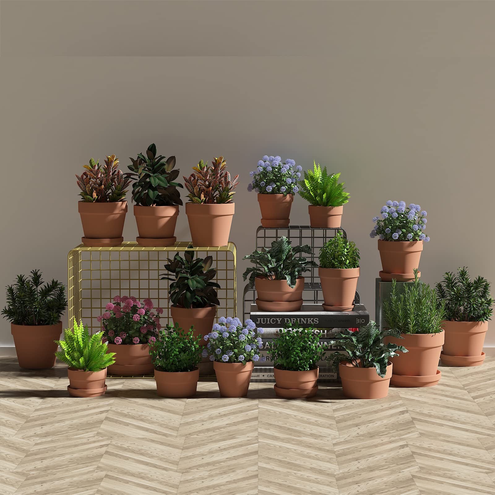 Fcacti 4 Inches Small Terracotta Pots with Saucer, 6 4 inches, gallery