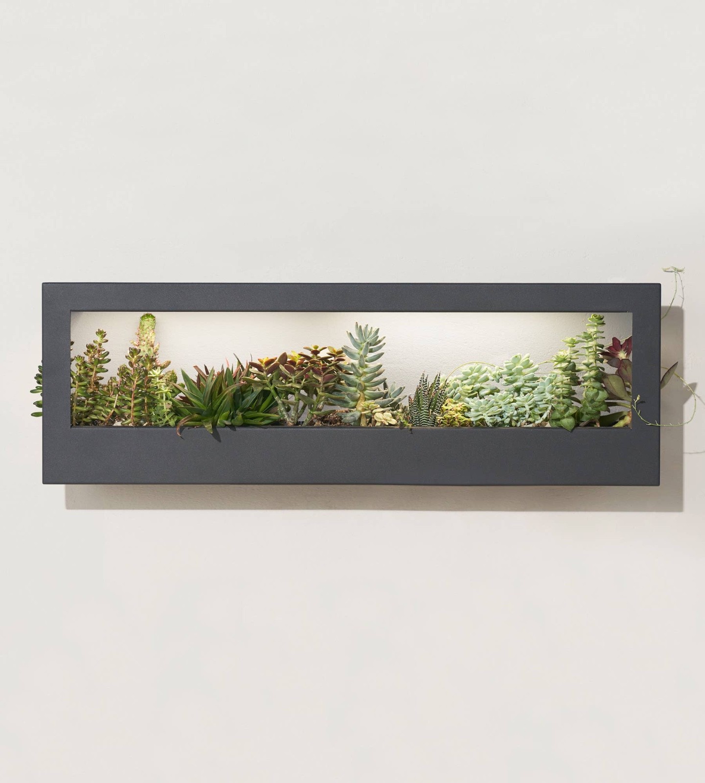 Smart LED Light Landscape Growframe - ModernSprout - New in Box- Matte Black gallery