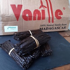 50 G Vanilla Bourbon Organic Madagascar