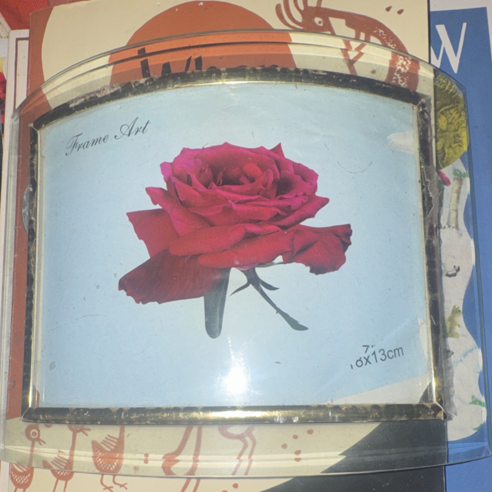 Frame Art Clear Plastic Rectangle Photo Frame 7in x 13cm Red Rose Floral gallery