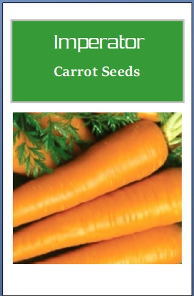 Imperator Carrot Seeds | NON-GMO | Heirloom | Fresh Garden Seeds gallery