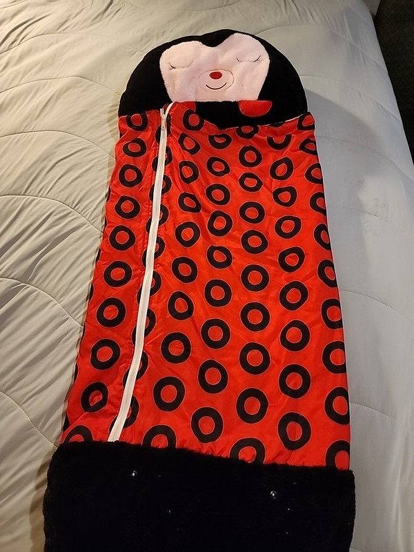 Happy Nappers Ladybug Pillow & Sleeping Bag 2-in-1 - Medium 54"x20" for Kids 3+ gallery