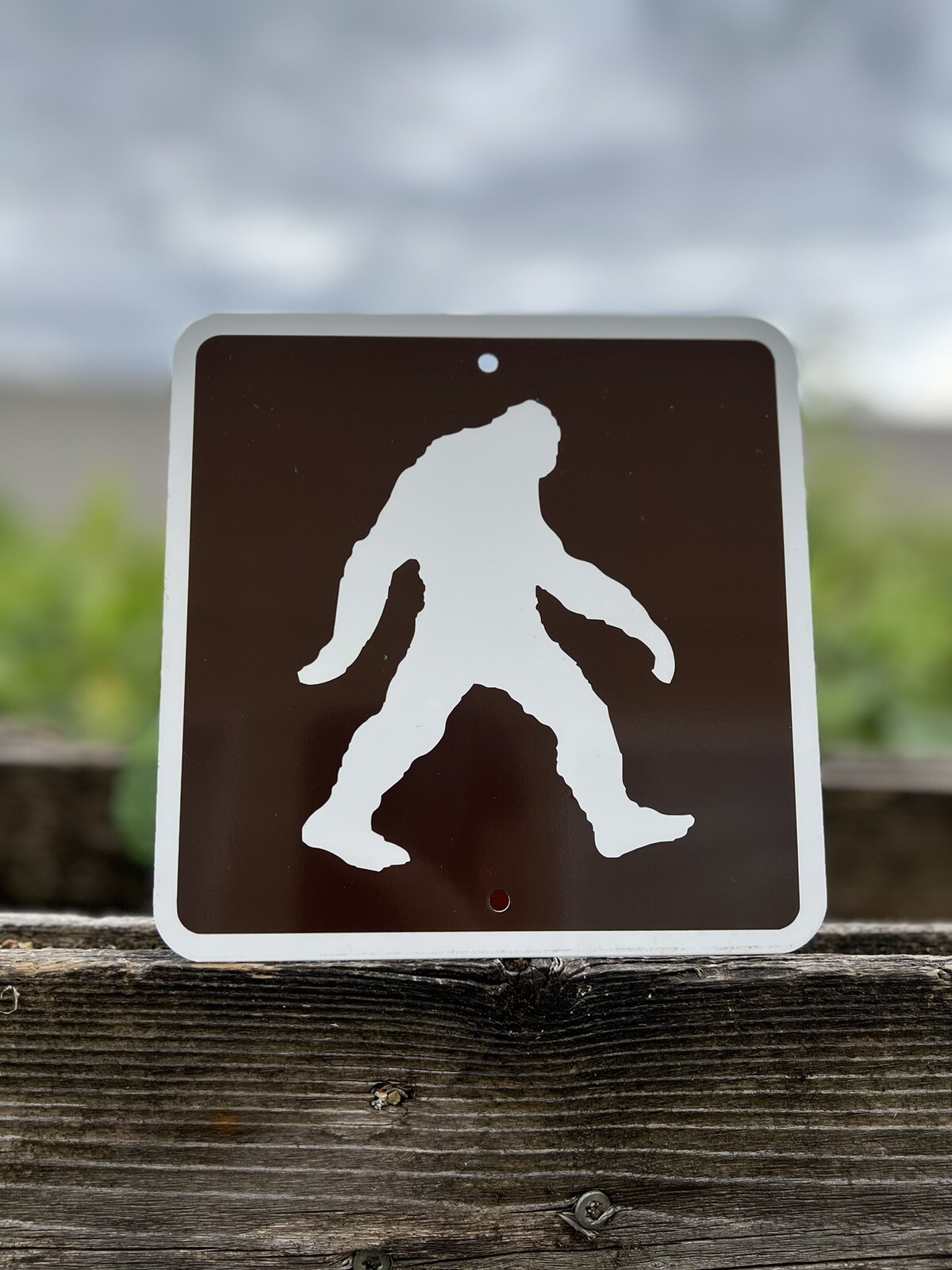 Big Foot Sasquatch Crossing Metal Parks & Recreation Sign 6"x6" NEW Cabin Decor gallery