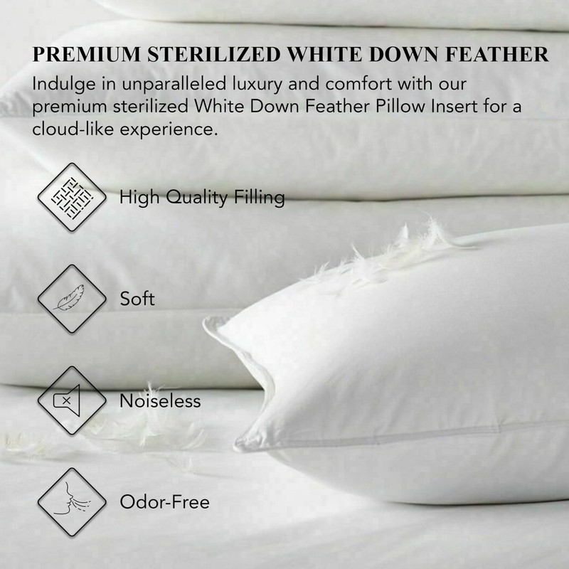 A1HC Throw Pillow Insert Down Feather Filled, (Pack of 2) - 20x20 Inches Bed ... gallery