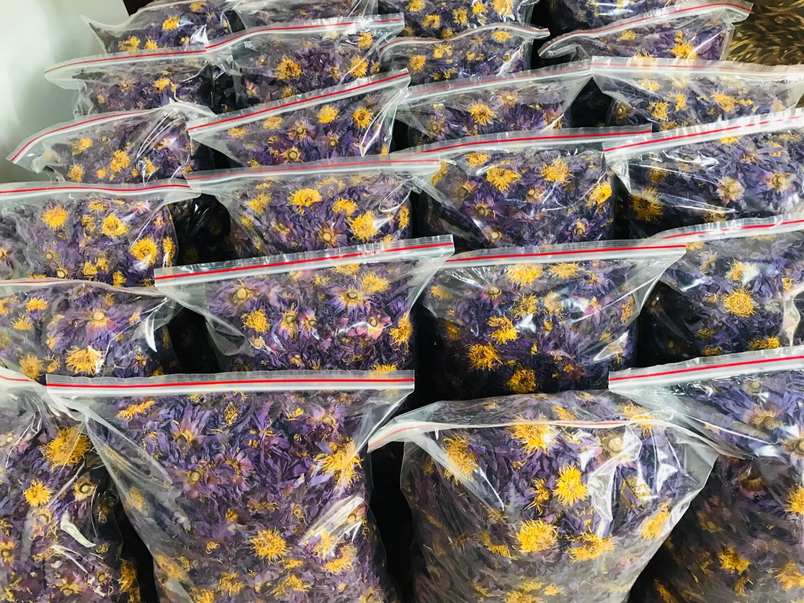 Dried BLUE LOTUS nymphaea caerulea Egyptian Organic Whole Flowers Herbal Tea gallery