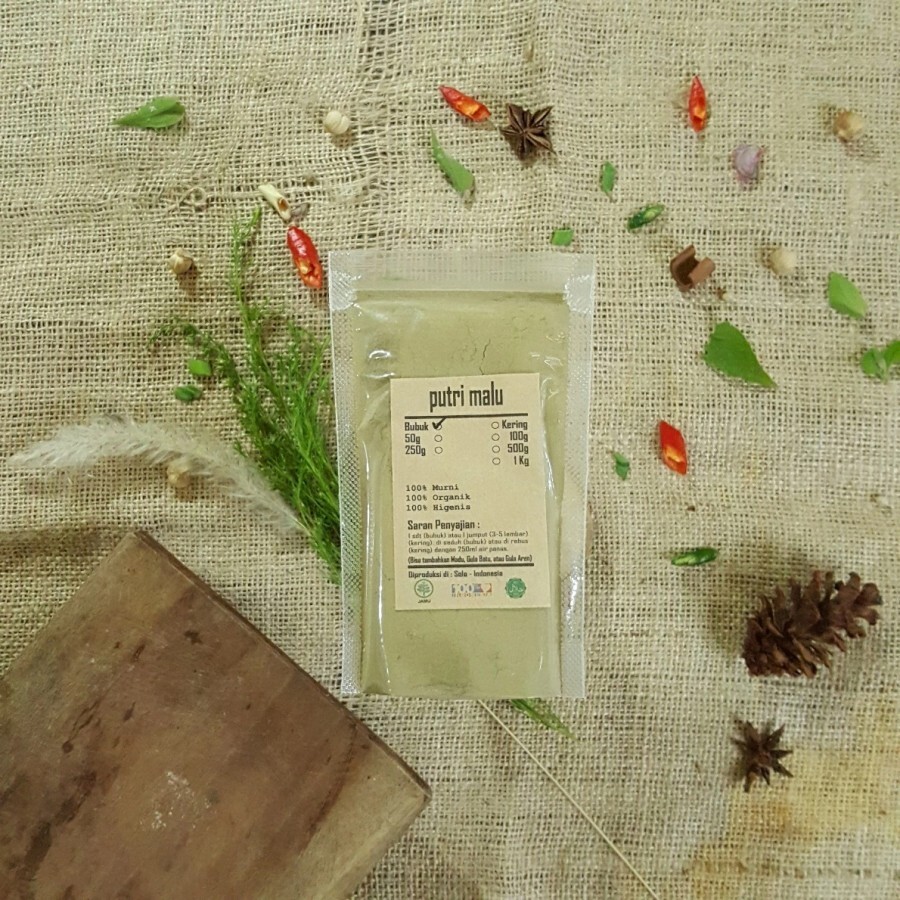 Sensitive Plant Sleepy Shy Powder Mimosa Pudica Herb Spices Fresh Pure Premium gallery