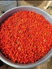 Chiltepin Pepper Dried Chile 2 pounds 2 libras gallery