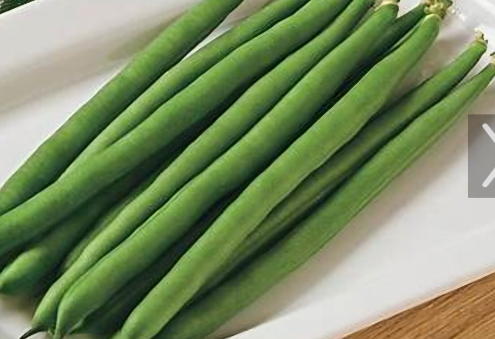 1/4 Lb. JADE BUSH BEAN Seed (Approximately 400 seed) gallery
