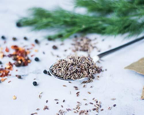 Dill Seeds - Kosher, Raw, Vegan - by Food To Live gallery