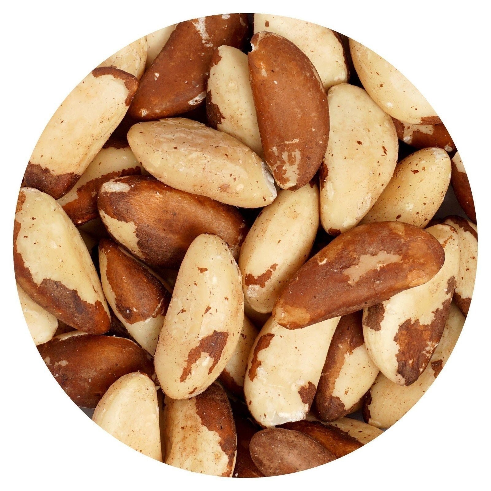 Raw Brazil Nuts, 1 Pound Bag, No Shell, Whole, Hampton Distribution gallery