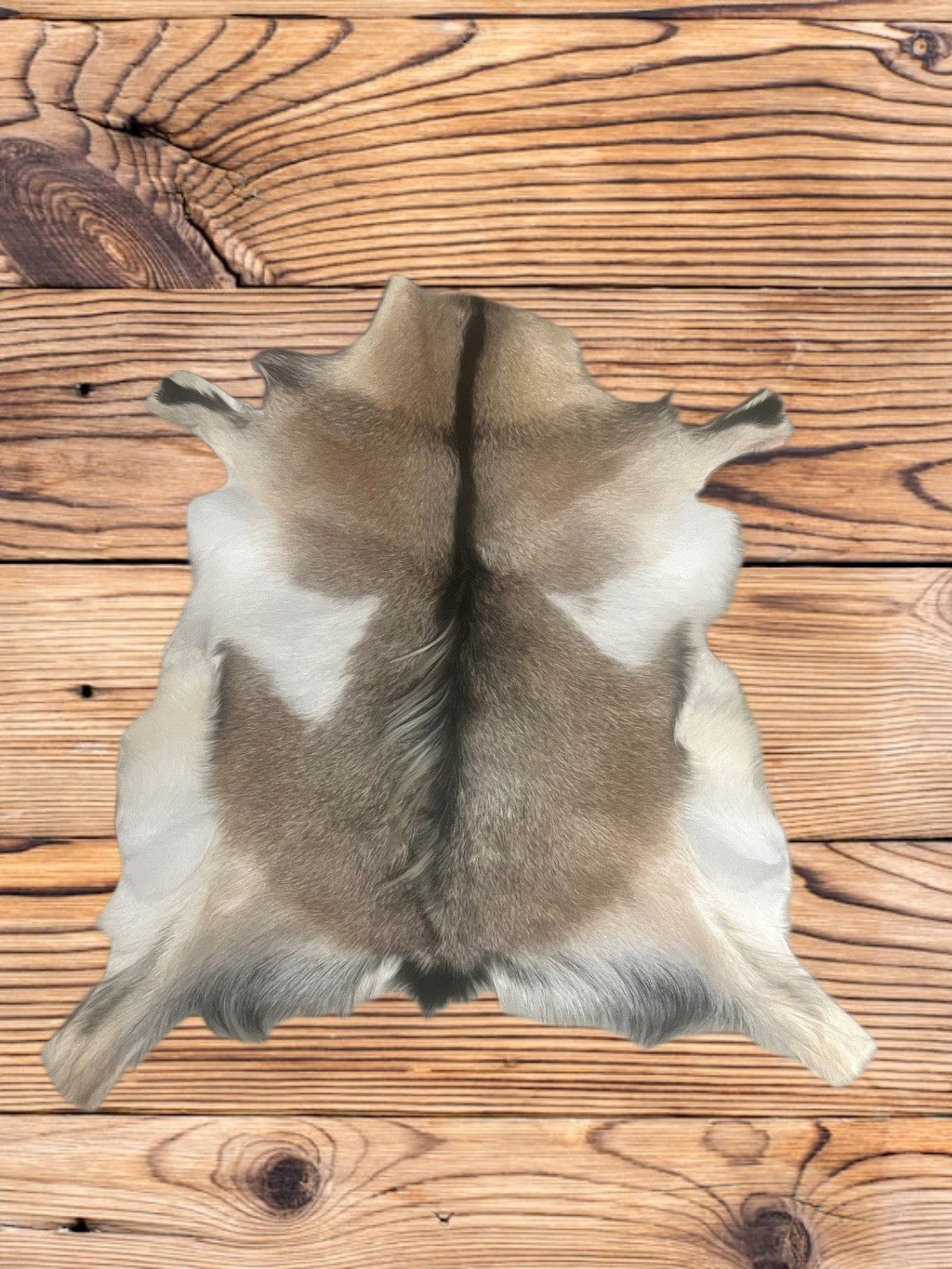 Large GOAT Western Hide Rug Natural Pattern Fur Goat Hide 34” X24” gallery