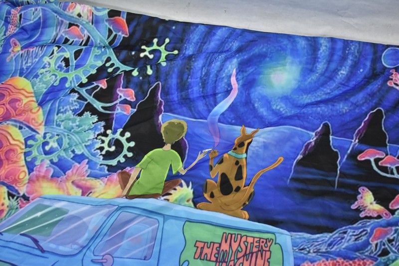 Trippy Tapestry Psychedelic Wall Hanging Blanket Decor 60"x 40" Kids Dog Show gallery