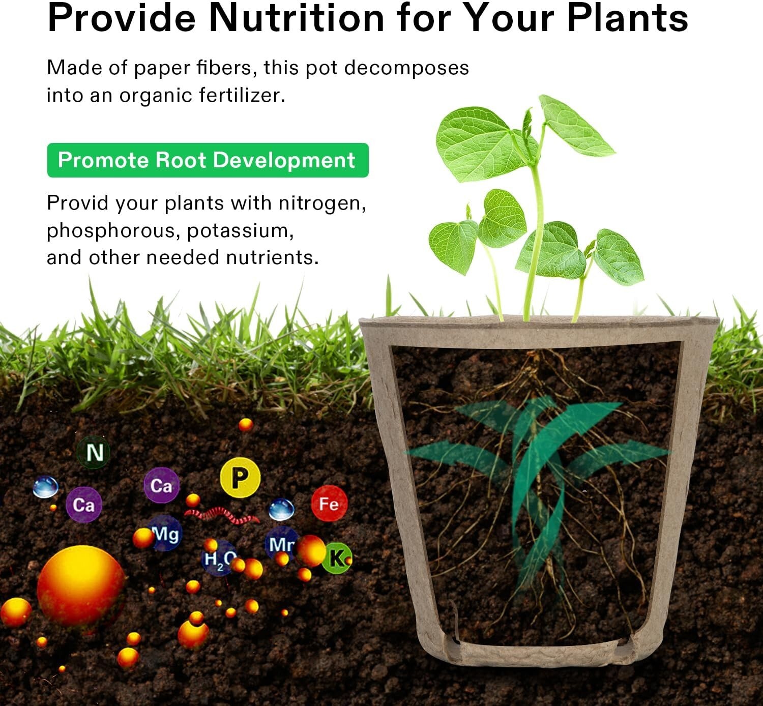 30/60/120PCS 3.15 Inch Peat Pots - Biodegradable Seed Starting Nursery Trays gallery
