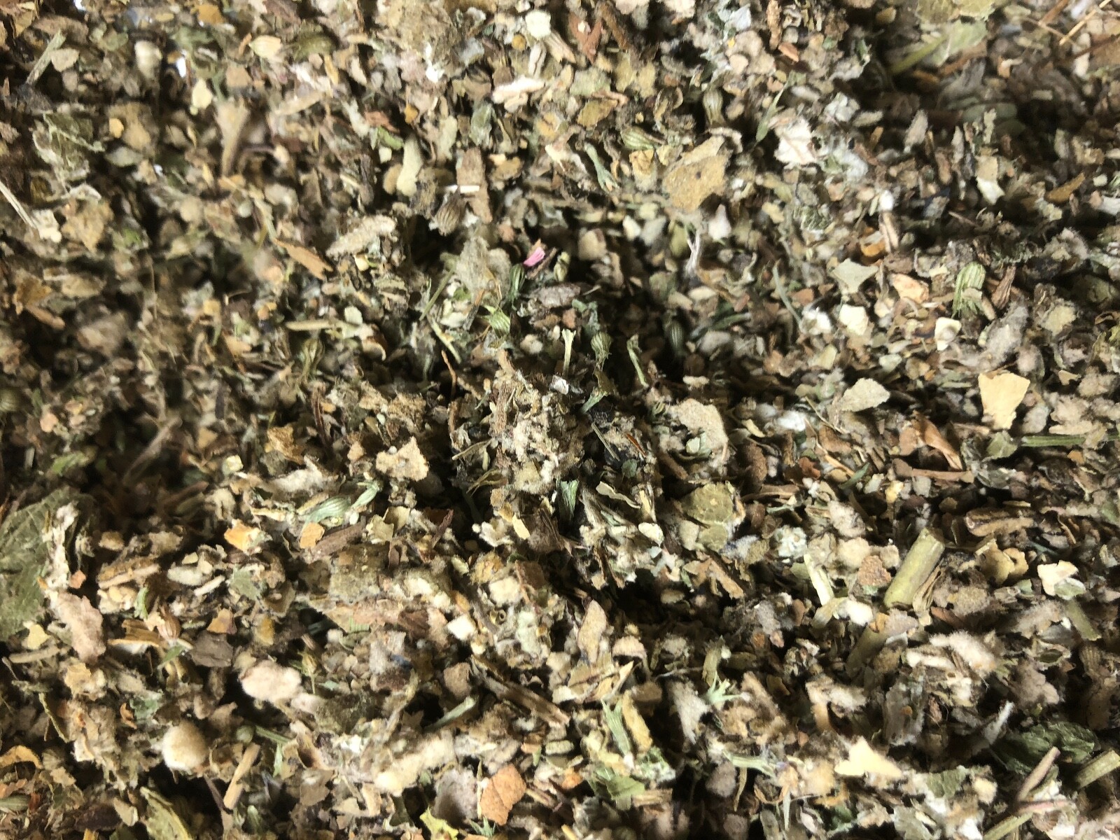 Osha Root Lobelia Mullein Coltsfoot Catnip Raspberry Leaf Spearmint No.23 Blend gallery