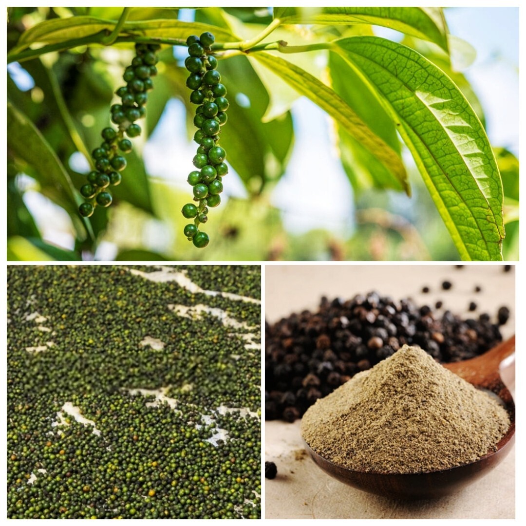 Ceylon BLACK PEPPER SEEDS POWDER Spice Natural Quality Organic Peppercorn 100g gallery