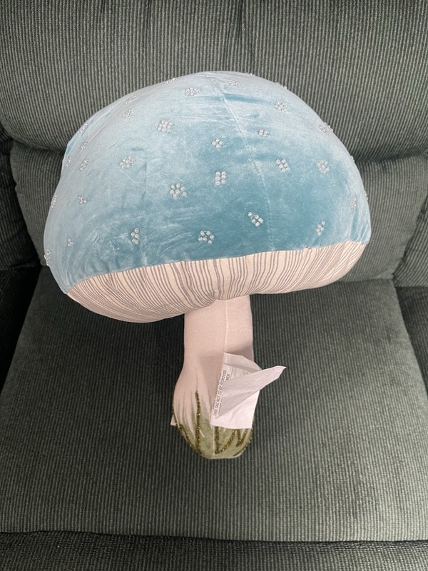 John Derian Target Amaryllis Quilted Throw Blanket & Blue Mushroom Plush gallery