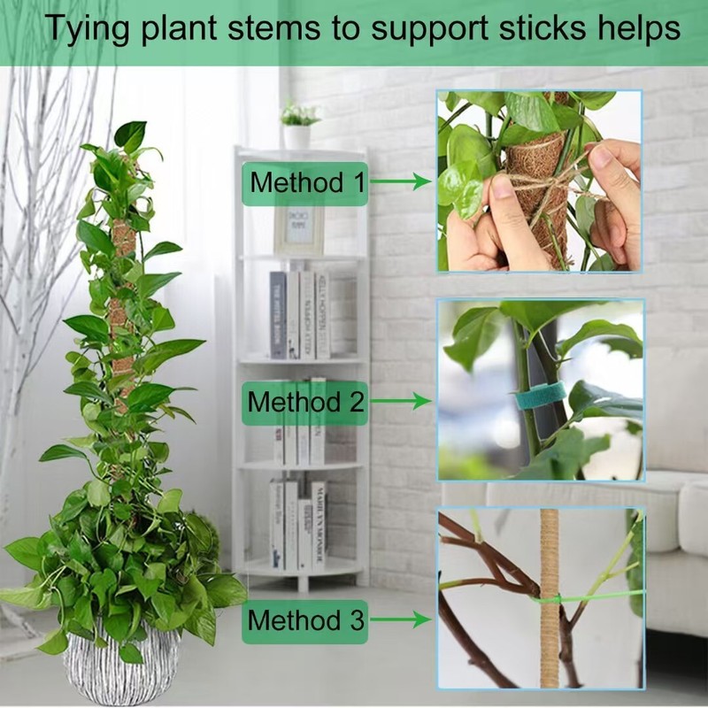 2 Pk 48” Bendable Moss Pole For Monstera Plant Coir Climbing Plant Support Stick gallery