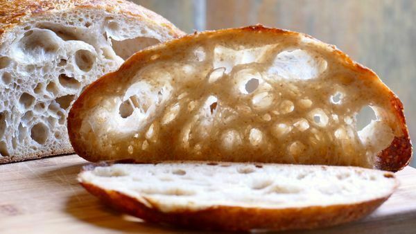 extremely sour and active sourdough starter yeast THE BEAST bonanza gallery