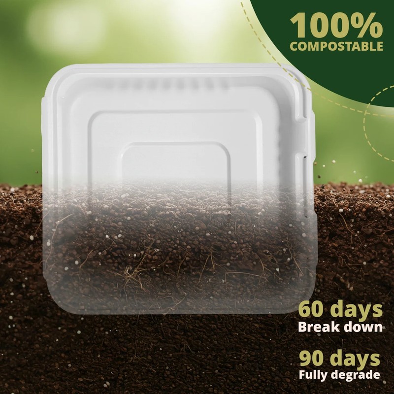 Naturawave Essentials 6" x 6" Compostable Clamshell Food Containers 50-Pack gallery