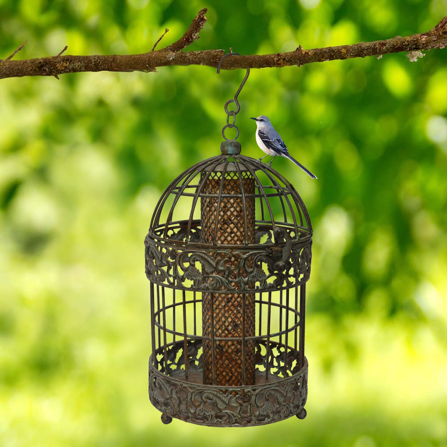 13 in. Tall Rustic Metal Squirrel Proof Caged Bird Feeder gallery
