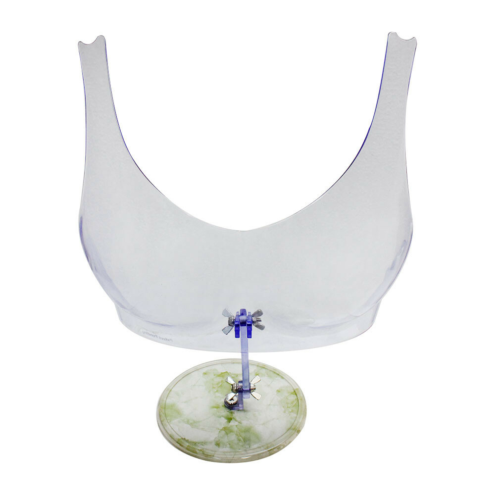 Free Standing Clear Plastic Bra Form Bikini Lingerie Display Adjustable Stand gallery
