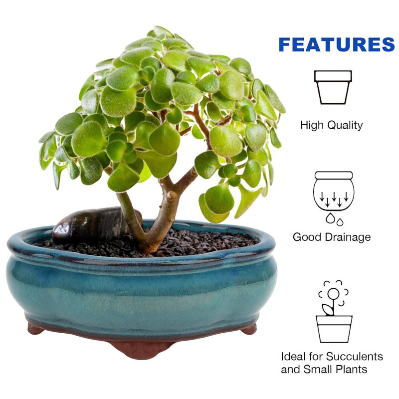 Ceramic Small Oval Glazed Bonsai Planter Pot Cactus Succulent Pots Drainage Hole gallery