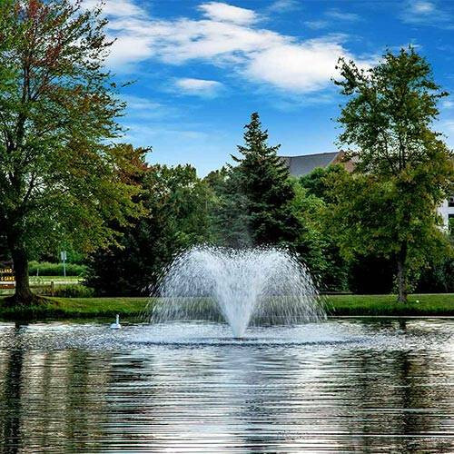 Scott Aerator North Star Aerator, 1/2 HP, 115 V, 70' Cord 14020.1 gallery