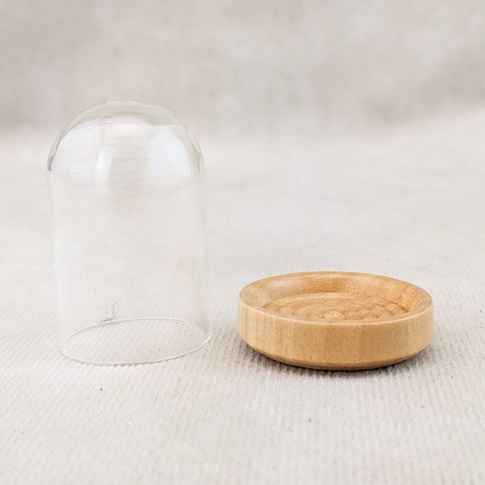 Glass Dome w/ clear Varnished base Miniature Garden Cloche display dome case gallery