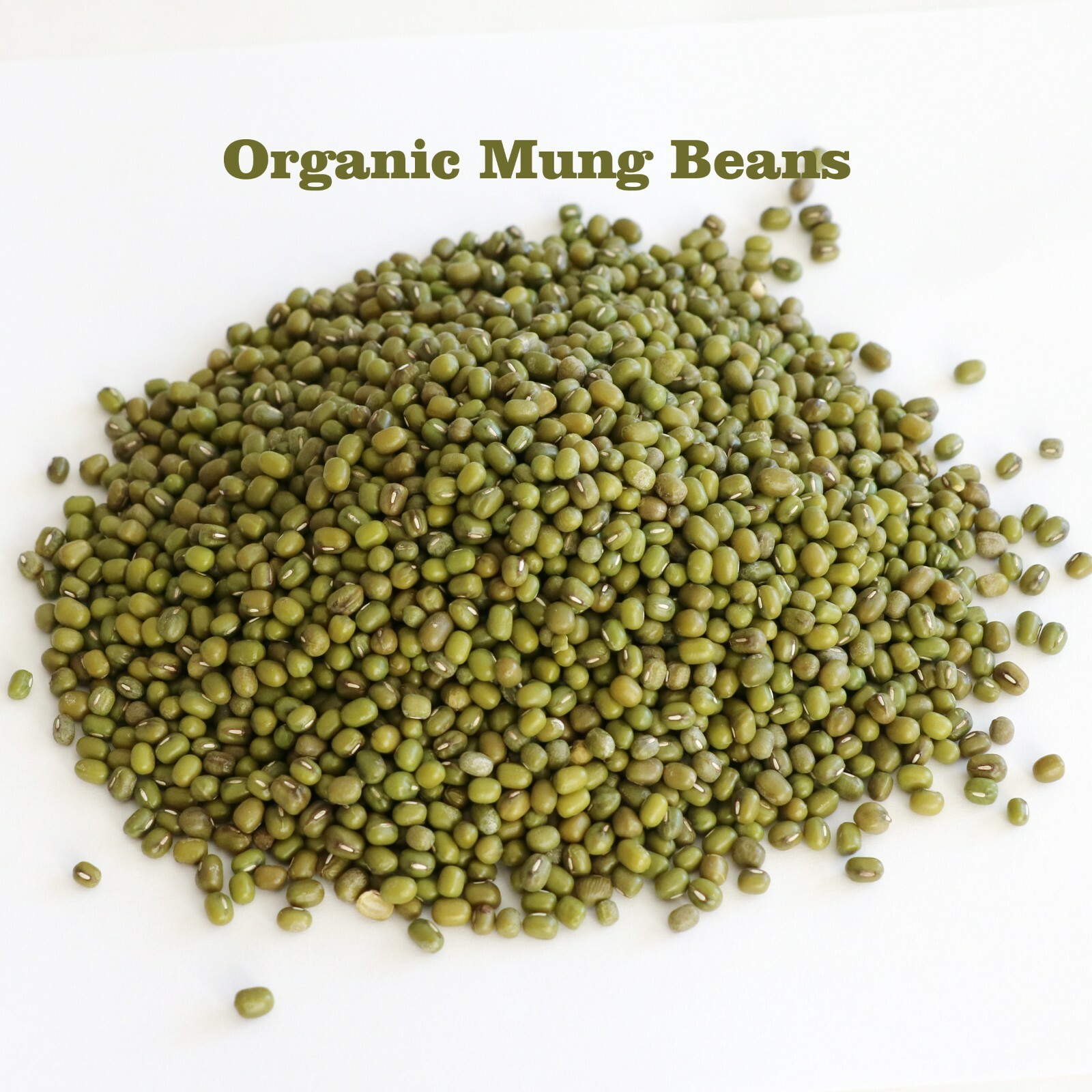 Mung Beans,Sprout-able Green Moong Frijol mongo Dry Raw, Great for making Sprout gallery