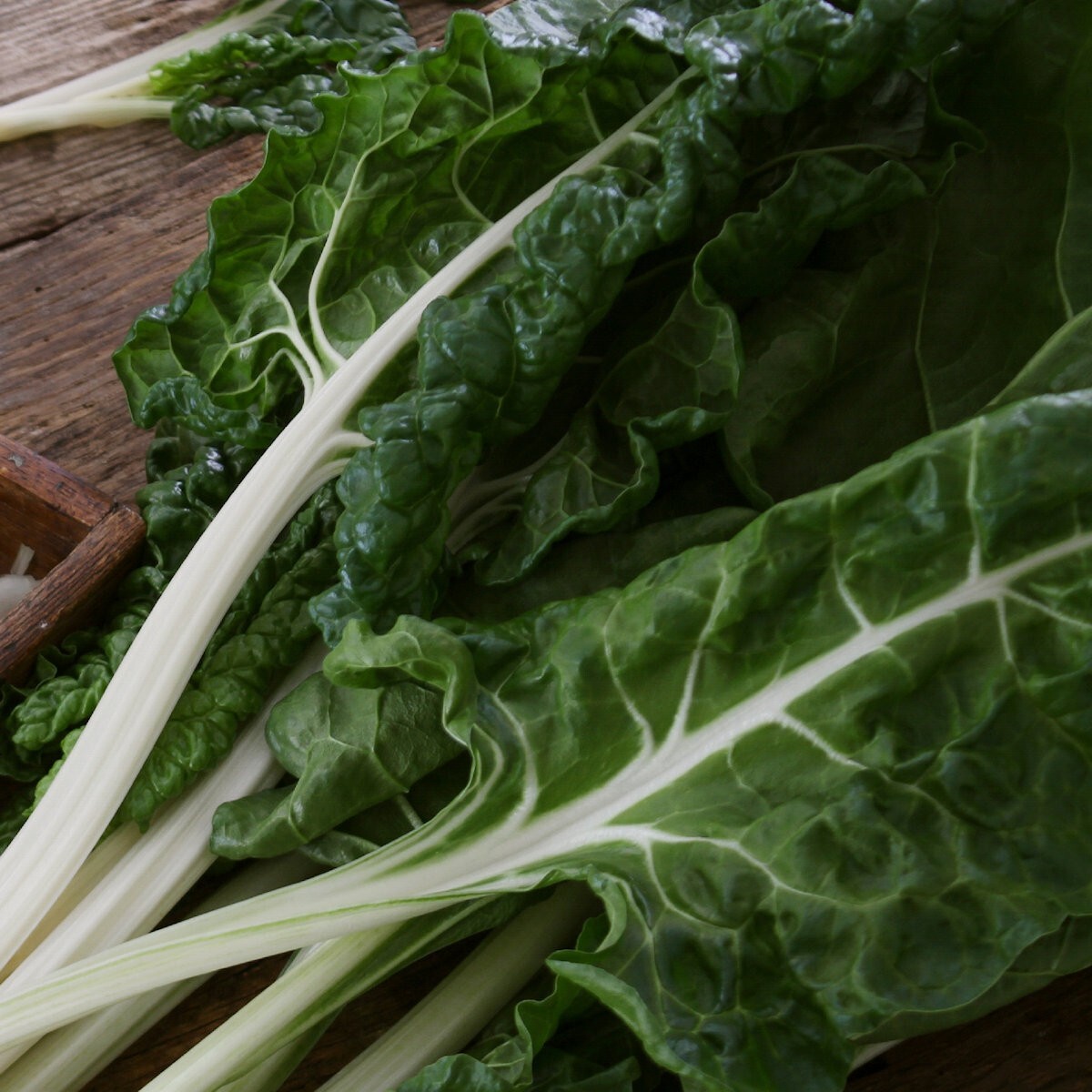 1/4 Lb Lucullus Swiss Chard Seeds - Everwilde Farms Mylar Seed Packet gallery