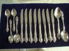 Misc Oneida Raphael Distinction Deluxe pieces