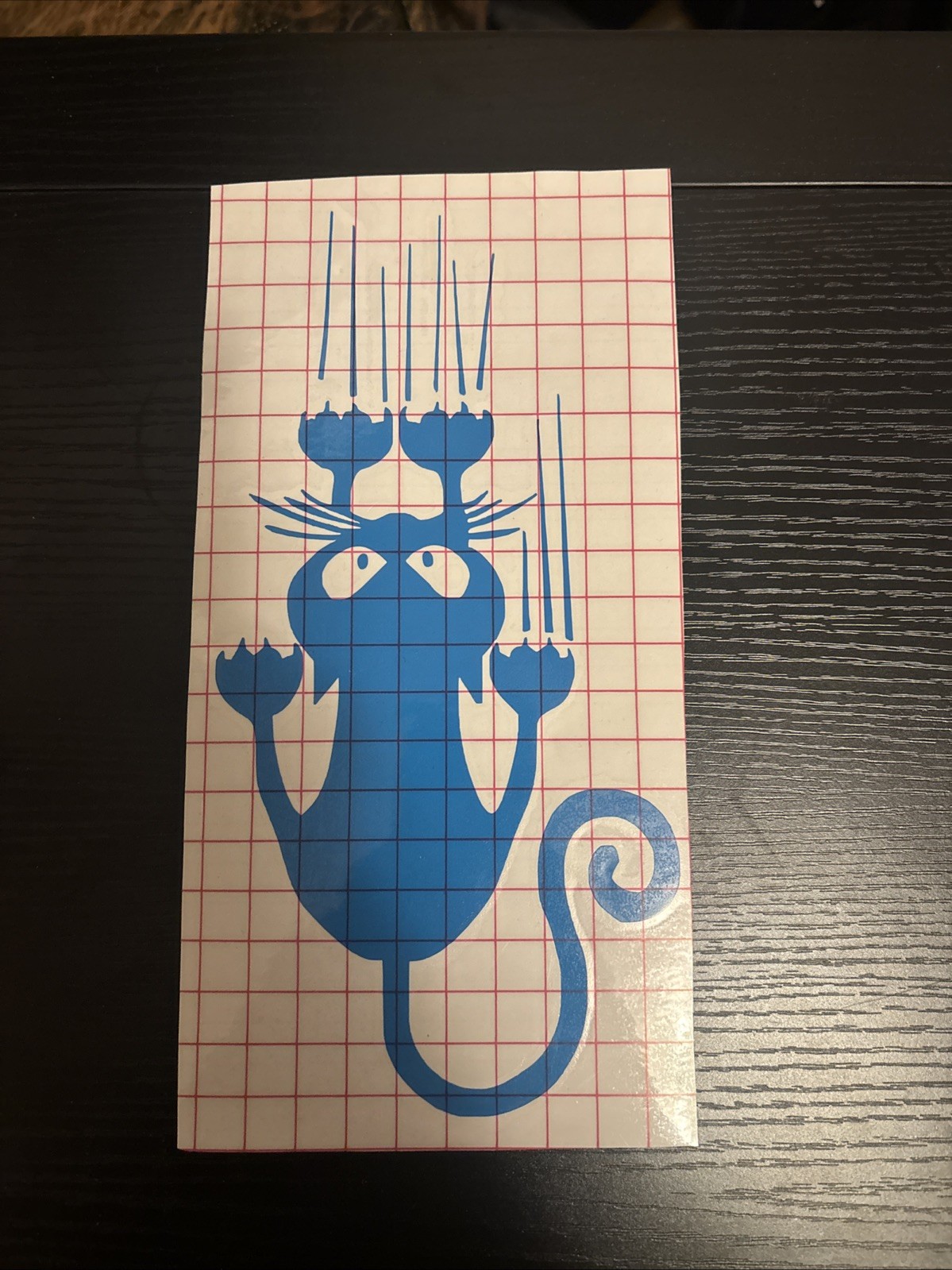 Crazy Cat Lady Sticker Vinyl Decal - Funny Family Love Figure Car Window Bumper gallery