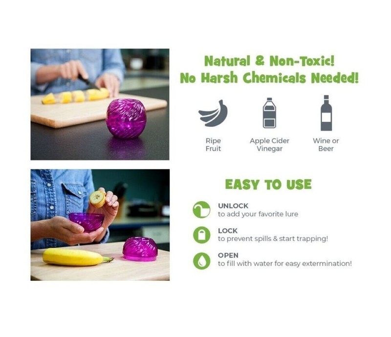 FlyFix || Fruit Fly Trap - 2 Pack - Purple, Pink, Blue, Green, Red, Yellow - New gallery
