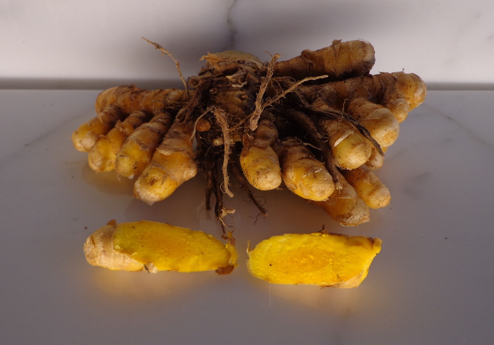 8 Turmeric Root 4 oz (YELLOW CURCUMA LONGA) for Plant-Arthritis Pain-SKIN SORES gallery