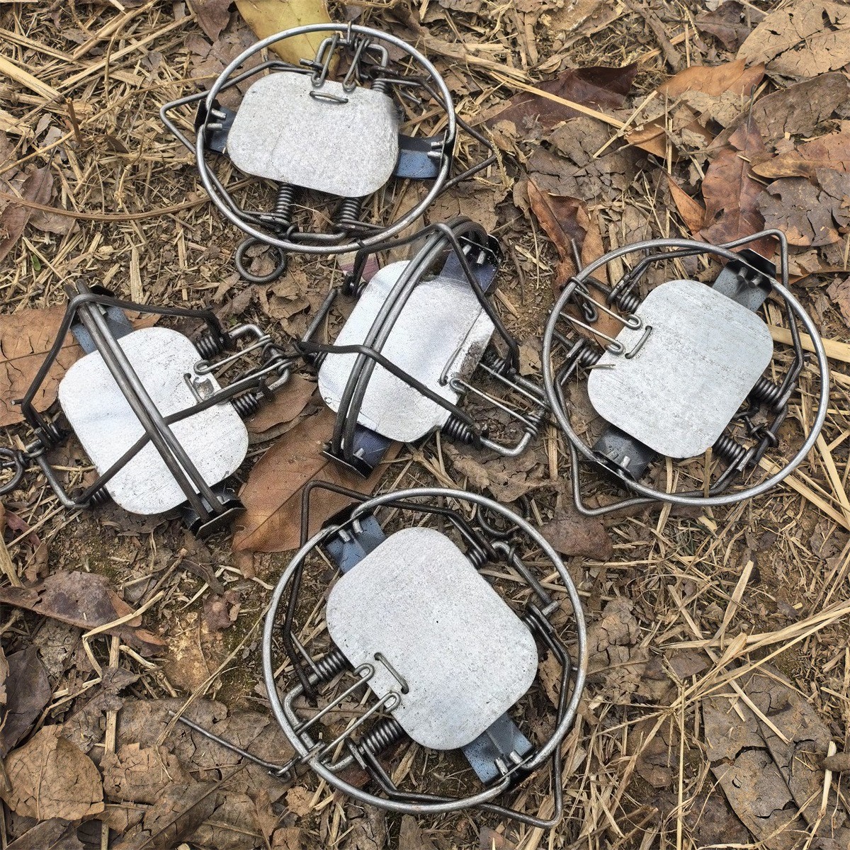 5 Pieces 5-1/10In / 13cm Coil Spring Nutria Mice Fox Gopher Mole Rat Mouse Trap gallery